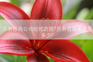 劳务咨询公司经营范围?劳务咨询电话是多少?