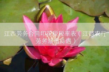 江西劳务合同印花税税率表（江西农行劳务派遣待遇）