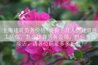 上海建筑劳务价格?我有十几人的建筑施工队伍，怎么挂靠劳务公司，然后怎么接活。请各位前辈多多指教?