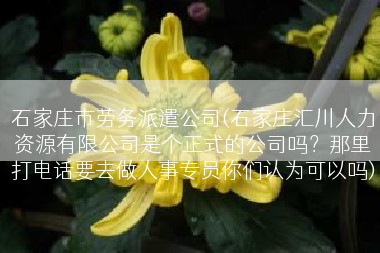 石家庄市劳务派遣公司(石家庄汇川人力资源有限公司是个正式的公司吗？那里打电话要去做人事专员你们认为可以吗)
