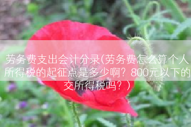 劳务费支出会计分录(劳务费怎么算个人所得税的起征点是多少啊？800元以下的交所得税吗？)
