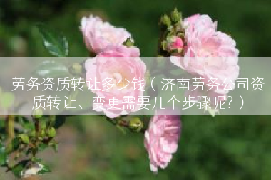 劳务资质转让多少钱（济南劳务公司资质转让、变更需要几个步骤呢?）