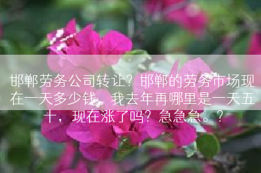 邯郸劳务公司转让？邯郸的劳务市场现在一天多少钱，我去年再哪里是一天五十，现在涨了吗？急急急。？