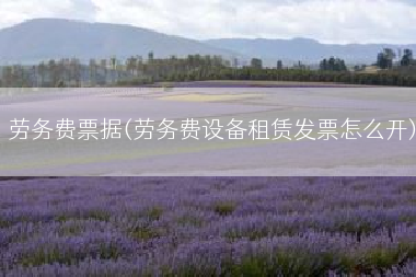 劳务费票据(劳务费设备租赁发票怎么开)