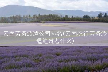 云南劳务派遣公司排名(云南农行劳务派遣笔试考什么)