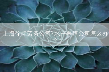 上海徐标劳务公司?水产养殖公司怎么办?