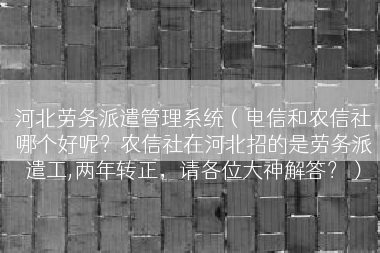 河北劳务派遣管理系统（电信和农信社哪个好呢？农信社在河北招的是劳务派遣工,两年转正，请各位大神解答？）