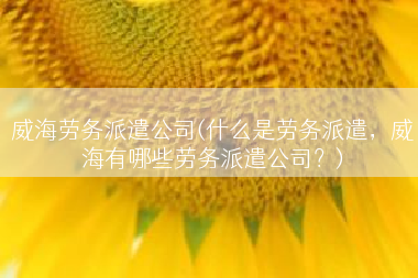 威海劳务派遣公司(什么是劳务派遣，威海有哪些劳务派遣公司？)
