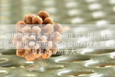 四川海滨劳务劳务公司正规？请问有那些正规出国劳务的中介公司办理去澳洲，或者美国加拿大呢？