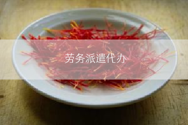 劳务派遣代办