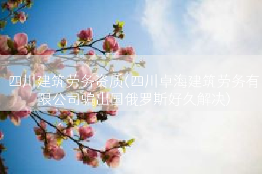 四川建筑劳务资质(四川卓海建筑劳务有限公司骗出国俄罗斯好久解决)