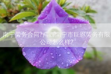 南宁劳务合同?广西南宁市巨恩劳务有限公司怎么样?