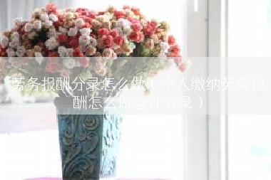劳务报酬分录怎么做（个人缴纳劳务报酬怎么做会计分录）