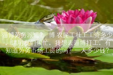 淄博劳务派遣？湽博 农民工壮工工资多少，请朋友们帮忙，我想去淄博打工，有知道劳务市场工资的吗？一天多少钱？