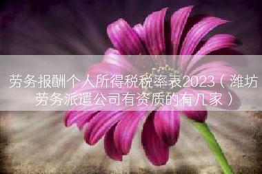 劳务报酬个人所得税税率表2023（潍坊劳务派遣公司有资质的有几家）