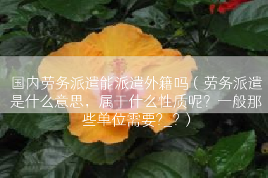 国内劳务派遣能派遣外籍吗（劳务派遣是什么意思，属于什么性质呢？一般那些单位需要?_?）