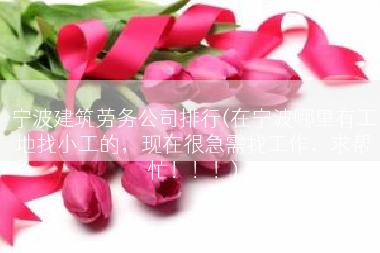 宁波建筑劳务公司排行(在宁波哪里有工地找小工的，现在很急需找工作，求帮忙！！！)