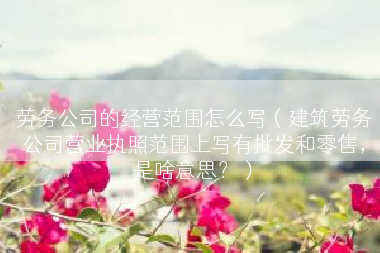 劳务公司的经营范围怎么写（建筑劳务公司营业执照范围上写有批发和零售，是啥意思？）
