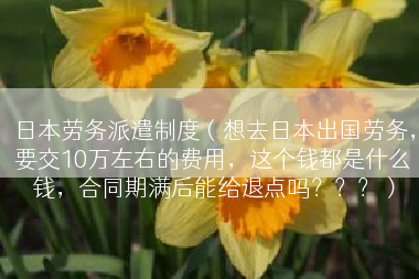 日本劳务派遣制度（想去日本出国劳务，要交10万左右的费用，这个钱都是什么钱，合同期满后能给退点吗？？？）