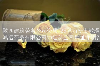 陕西建筑劳务公司资质取消?西安市敬瑁鸿运劳务有限公司地址总公司地址谢谢?