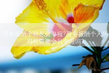 劳务报酬个税怎么申报?劳务报酬个人所得税需要全员申报吗?