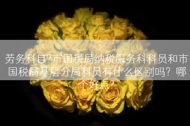 劳务科目?市国税局纳税服务科科员和市国税局基层分局科员有什么区别吗？哪个好点?