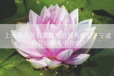 上海灵石路万荣路附近劳务中介？宁波有劳动服务中介吗？