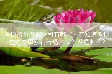 淄博劳务派遣公司有哪些？有知道淄博这边中国银行待遇的吗？派遣制的？