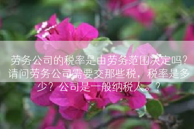 劳务公司的税率是由劳务范围决定吗？请问劳务公司需要交那些税，税率是多少？公司是一般纳税人。？