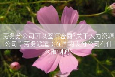 劳务分公司可以签订合同?关于人力资源公司（劳务派遣）在国内设分公司有什么限制吗?