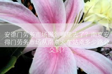 安德门劳务市场搬到哪里去了？南京安得门劳务市场从南京火车站乘多少路公交到？