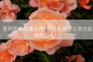 青州劳务派遣公司?请问青州什么地方能找到工人！?