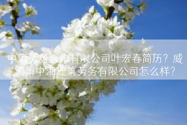 中海劳务合作有限公司叶宏春简历？威海市中海建筑劳务有限公司怎么样？