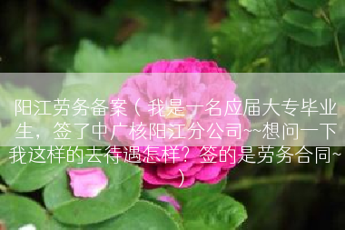 阳江劳务备案（我是一名应届大专毕业生，签了中广核阳江分公司~~想问一下我这样的去待遇怎样？签的是劳务合同~）