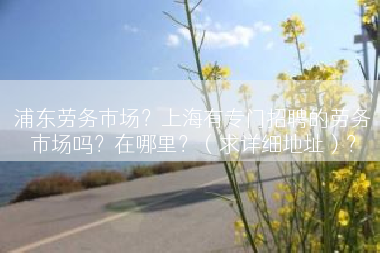 浦东劳务市场？上海有专门招聘的劳务市场吗？在哪里？（求详细地址）？