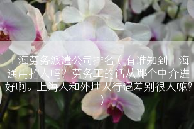 上海劳务派遣公司排名（有谁知到上海通用招人吗？劳务工的话从哪个中介进好啊。上海人和外地人待遇差别很大嘛？）