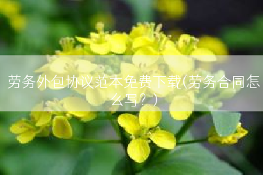 劳务外包协议范本免费下载(劳务合同怎么写？)