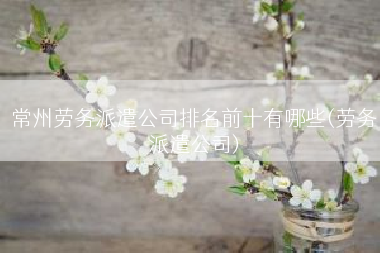 常州劳务派遣公司排名前十有哪些(劳务派遣公司)