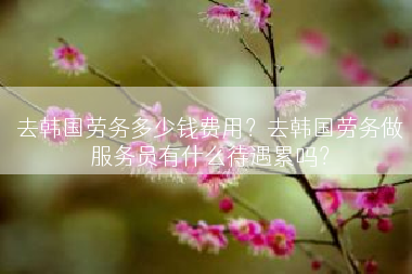 去韩国劳务多少钱费用？去韩国劳务做服务员有什么待遇累吗？