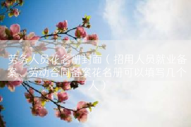 劳务人员花名册封面（招用人员就业备案、劳动合同备案花名册可以填写几个人）