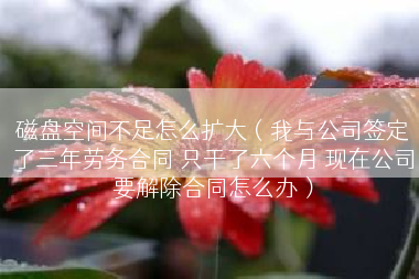 磁盘空间不足怎么扩大（我与公司签定了三年劳务合同 只干了六个月 现在公司要解除合同怎么办）