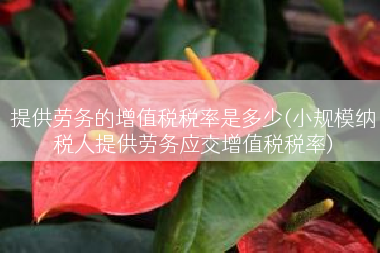提供劳务的增值税税率是多少(小规模纳税人提供劳务应交增值税税率)
