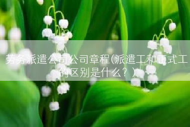 劳务派遣公司公司章程(派遣工和正式工的区别是什么？)