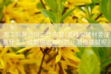 泥工劳务合同工作内容(装修买建材要注意什么？谁能说说如何防止装修猫腻呢？)