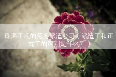 珠海正规的劳务派遣公司（派遣工和正式工的区别是什么？）