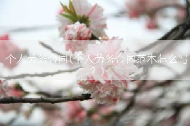 个人劳务合同(个人劳务合同范本怎么写?) 个人劳务合同(个人劳务合同范本怎么写?)