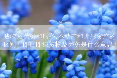 货物及劳务和服务,不动产和无形资产的区别？即征即退货物及劳务是什么意思？