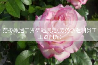 劳务派遣工资待遇规定(劳务派遣制员工工资问题)