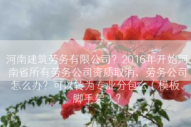 河南建筑劳务有限公司？2016年开始河南省所有劳务公司资质取消，劳务公司怎么办？可以转为专业分包么（模板、脚手架）？