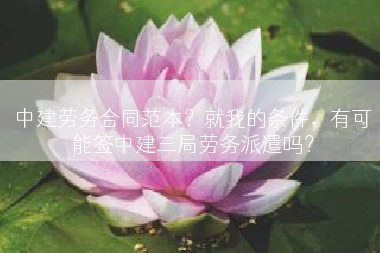 中建劳务合同范本？就我的条件，有可能签中建三局劳务派遣吗？
